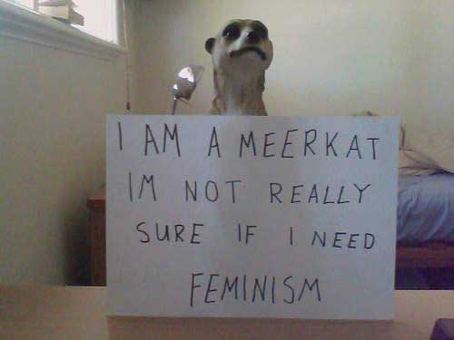 meekrat-feminism