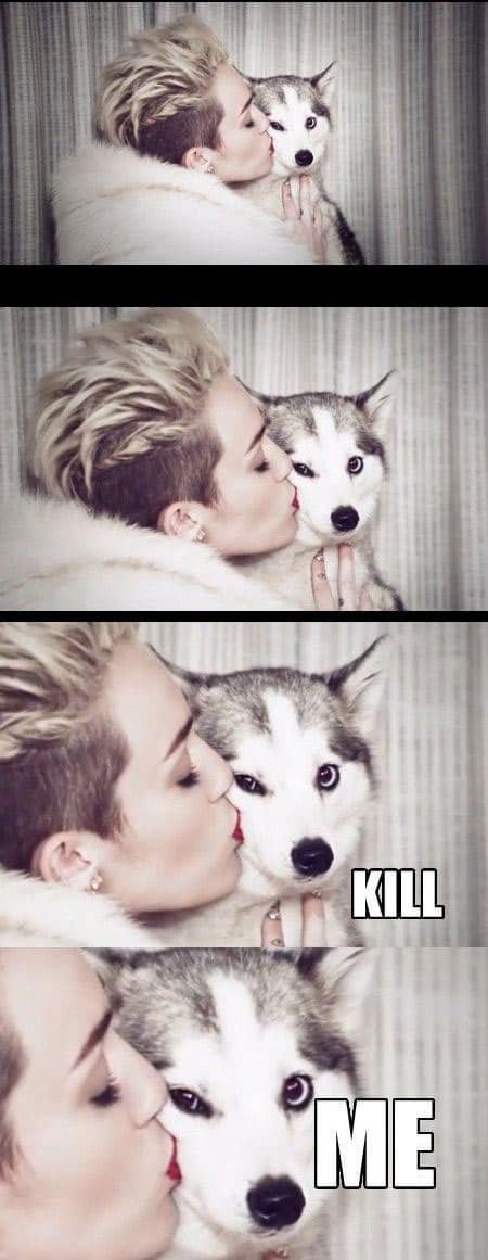 miley-cyrus-memes