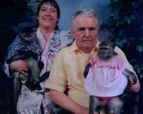 monkey family portrait
