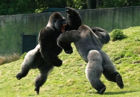 most awesome image ever