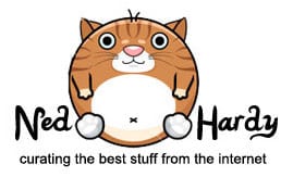 ned-hardy