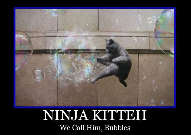 ninja-kitteh-bubbles