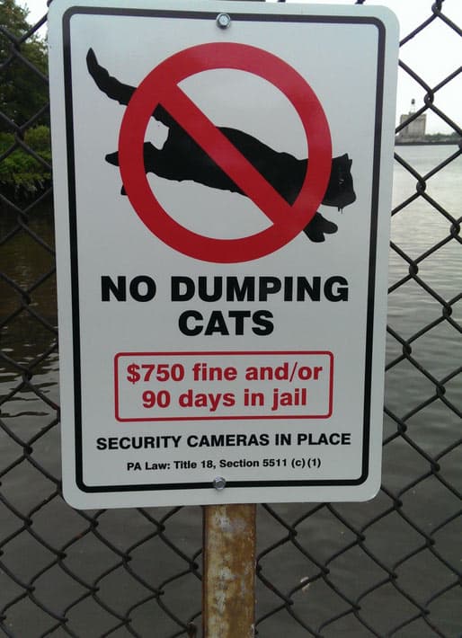 no-cat-dumping