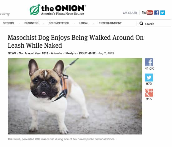 onion-dog-headlines