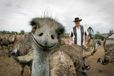 ostrich-selfie