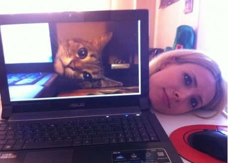 overly attached cats