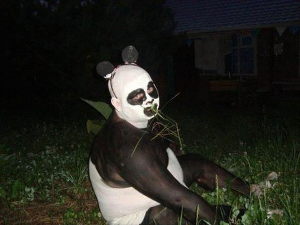 panda-guy