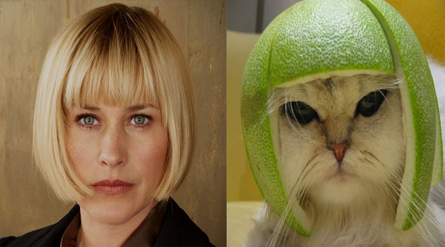 patricia-arquette-lime-cat