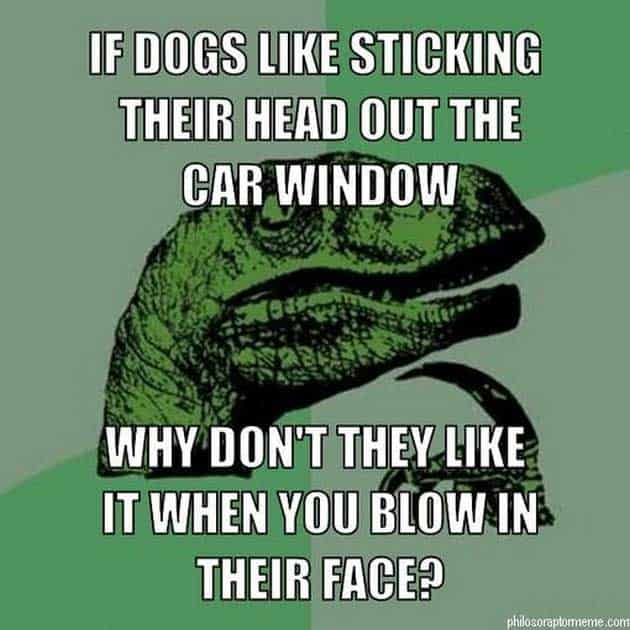 philosoraptor-meme