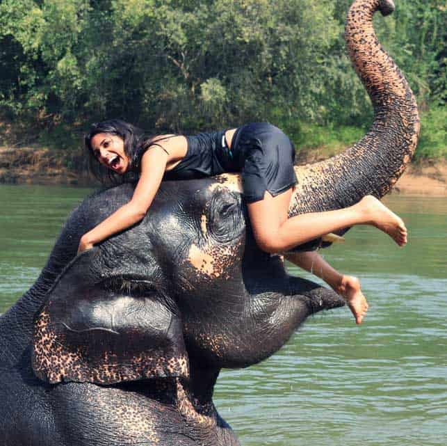 playing-with-elephants