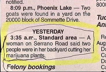police blotter idiot