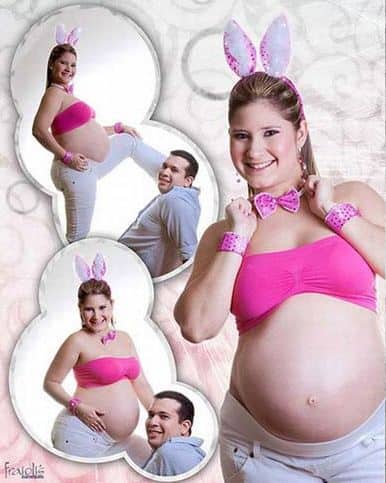 pregnant bunny photo