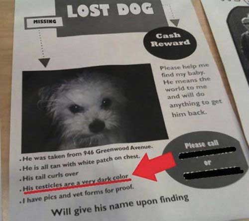 previously-on-lost