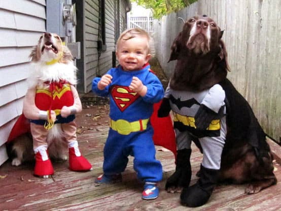 pure-awesomeness-photos