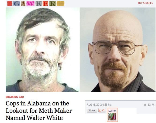real life walter white