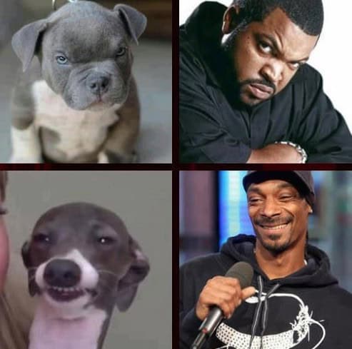 real snoop ice cube