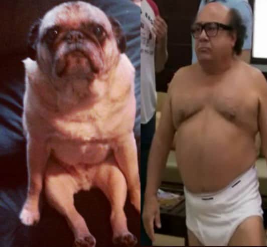 resemblance-is-uncanny
