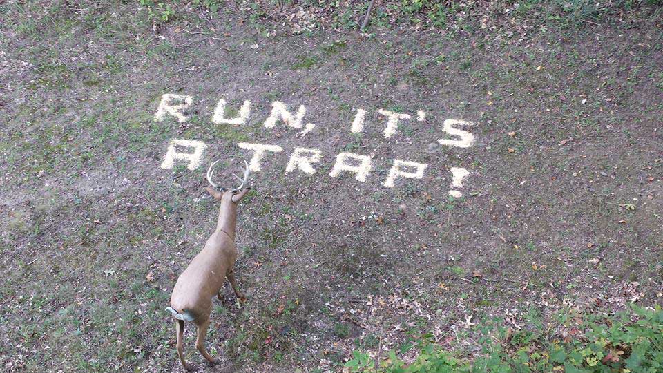 run-its-a-trap