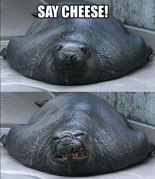 say-cheese-memes