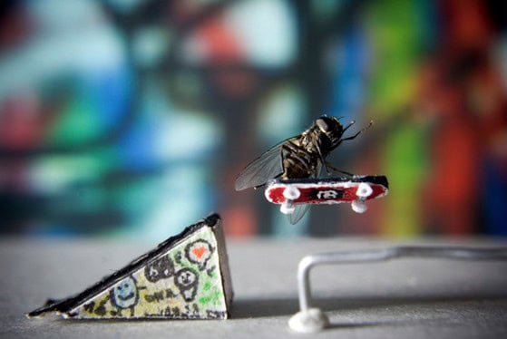 skateboarding fly