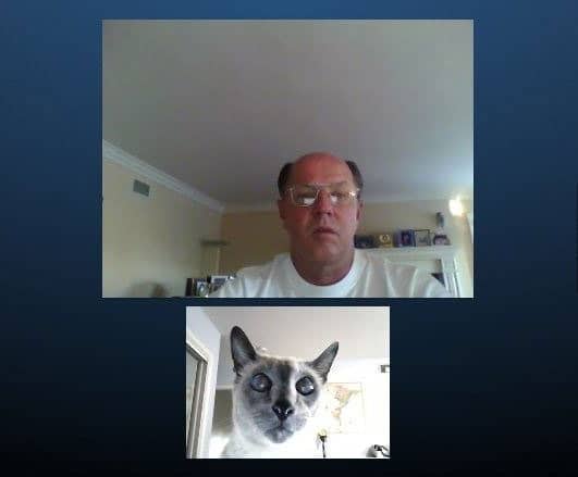 skyping-with-the-cat