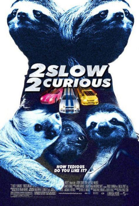 sloth-fast--Furious