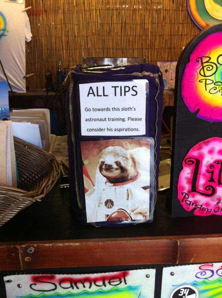 sloth-tip-jar