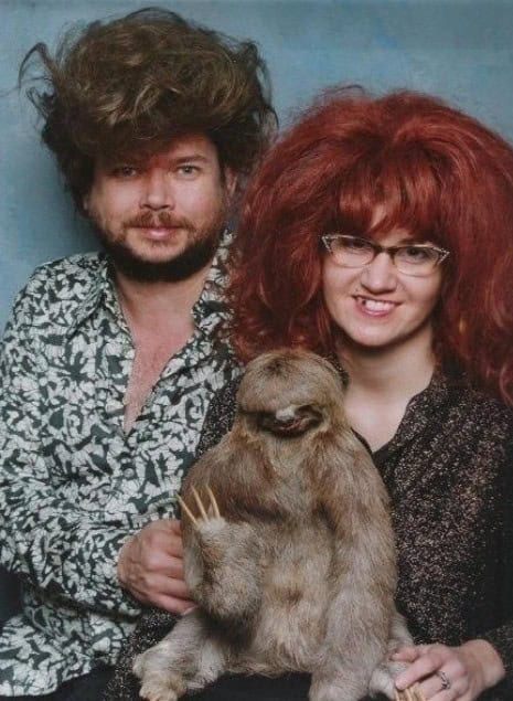 sloth internet