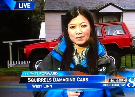 slow news day fails