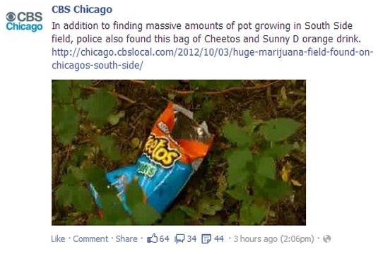 slow news day photos