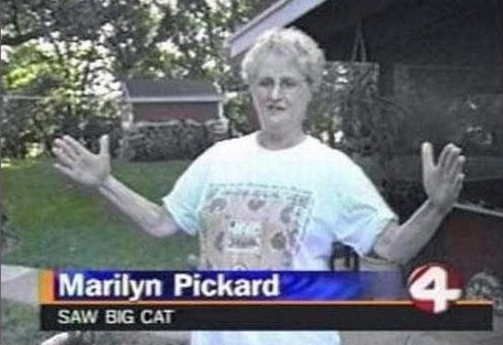 slow news day reddit