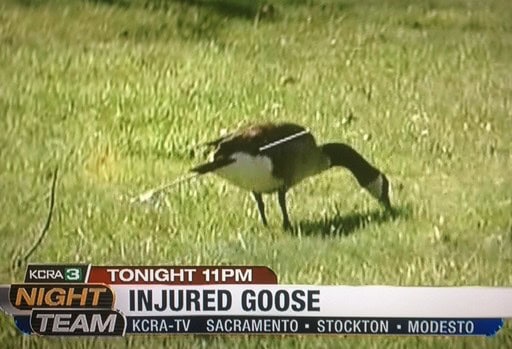 slow news day wtf