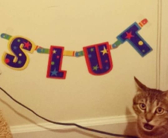 slut-cat