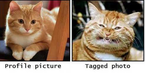 social-media-truth