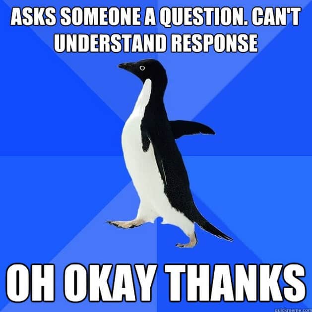 socially awkward penguin