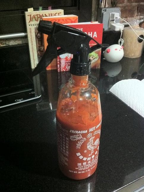 sriracha squirt bottle