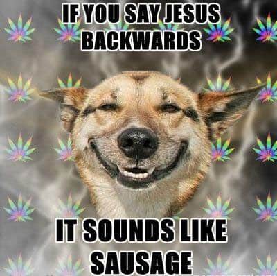 stoned-dog-sausage