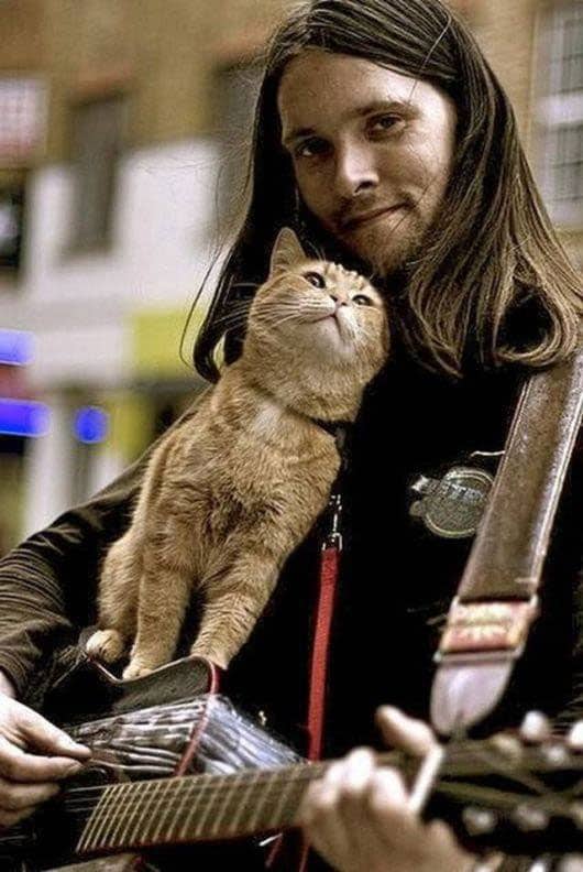 street-cat-named-bob