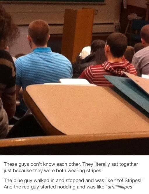 stripes-funny