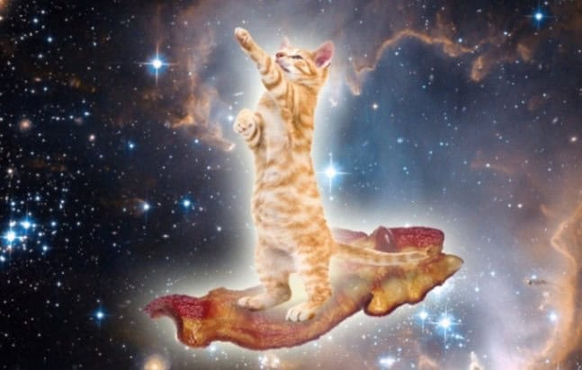 sums up the internet painting