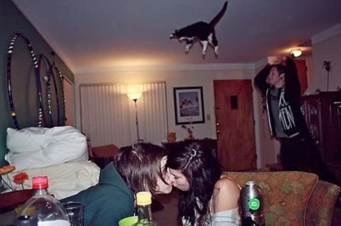 sums up the internet photo gallery