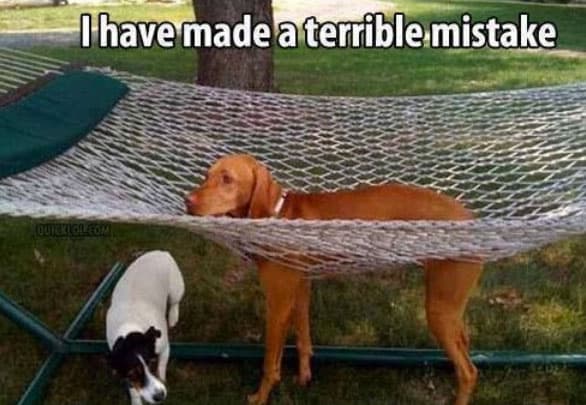 terrible-mistake