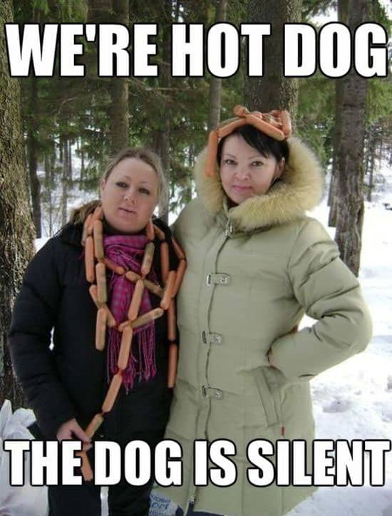 the-dog-is-silent