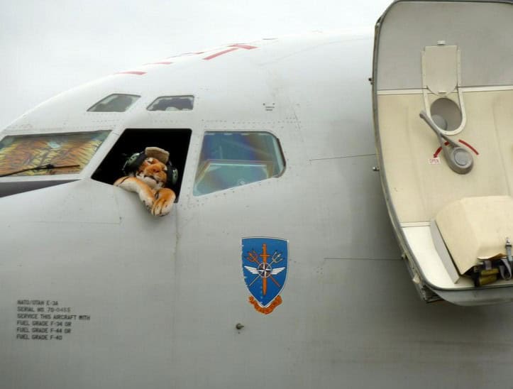 tiger pilot