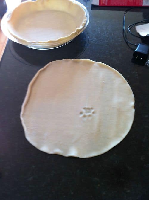 cat prints in pizza dough 