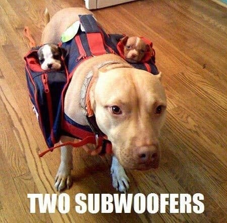 two-subwoofers