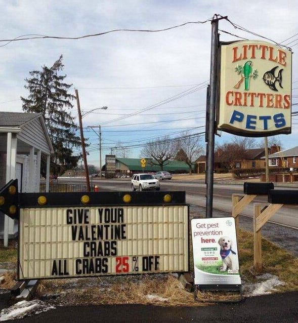 valentines-crabs