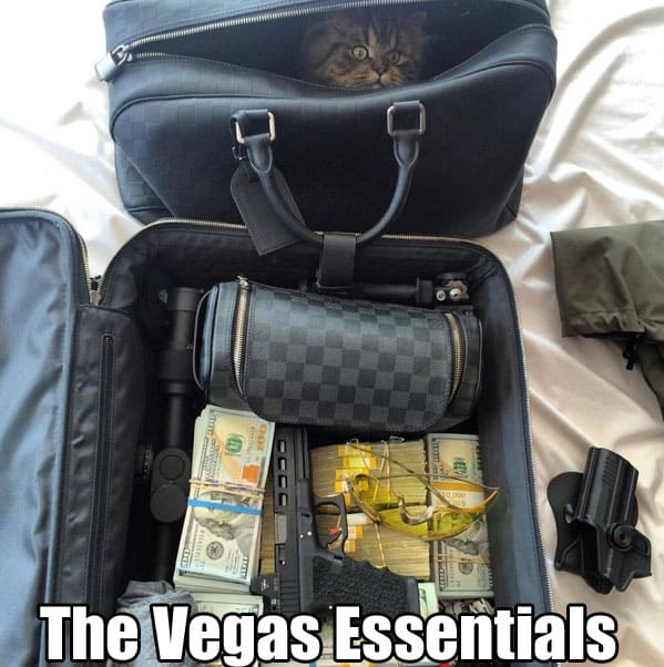 vegas-essentials