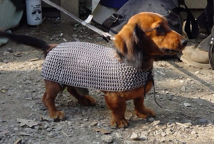 weiner protection