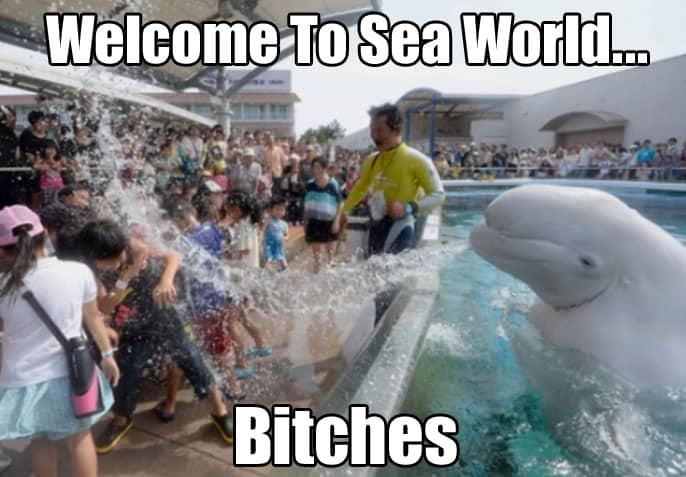 welcome-to-sea-world